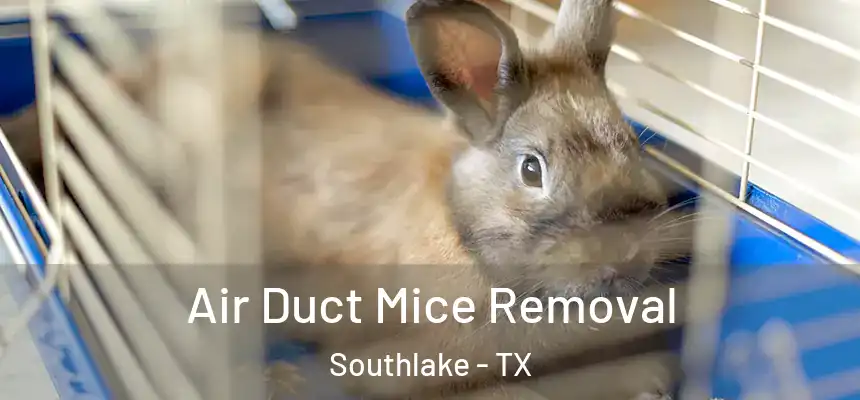  Air Duct Mice Removal Southlake - TX