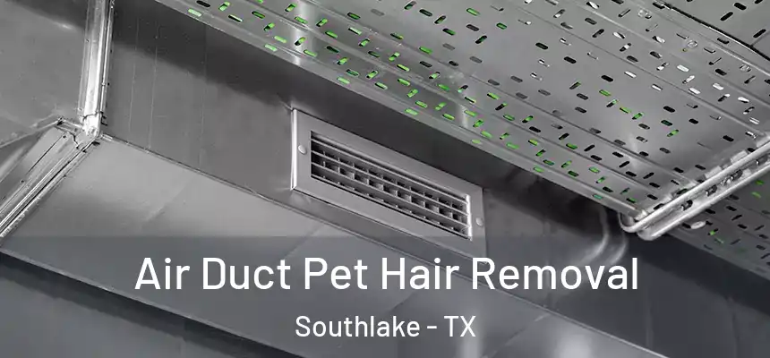 Air Duct Pet Hair Removal Southlake - TX