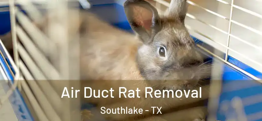  Air Duct Rat Removal Southlake - TX