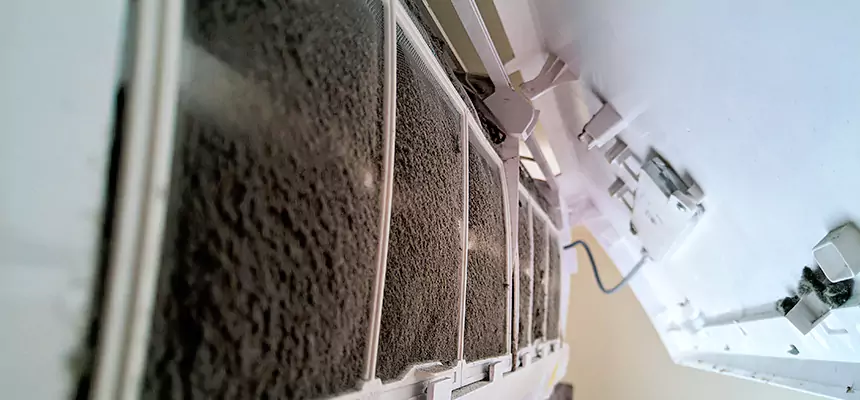 Preventive Air Duct Bacteria Removal in Southlake