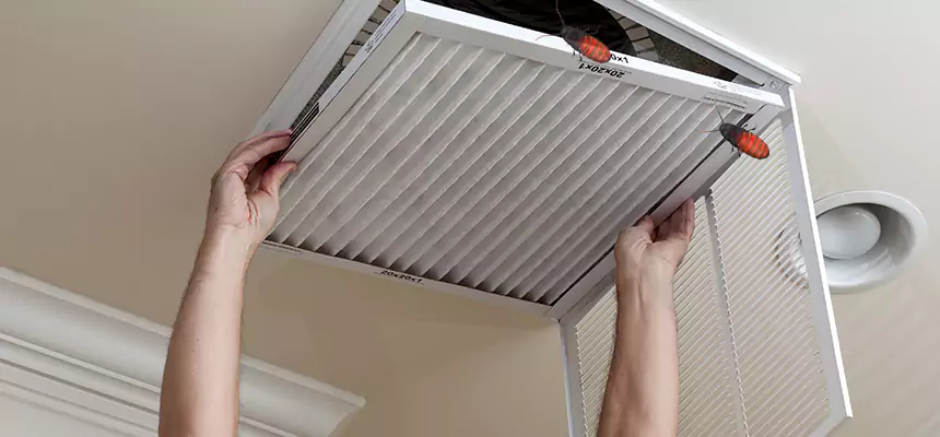 Preventive Cockroach-Proofing for Ducts in Southlake