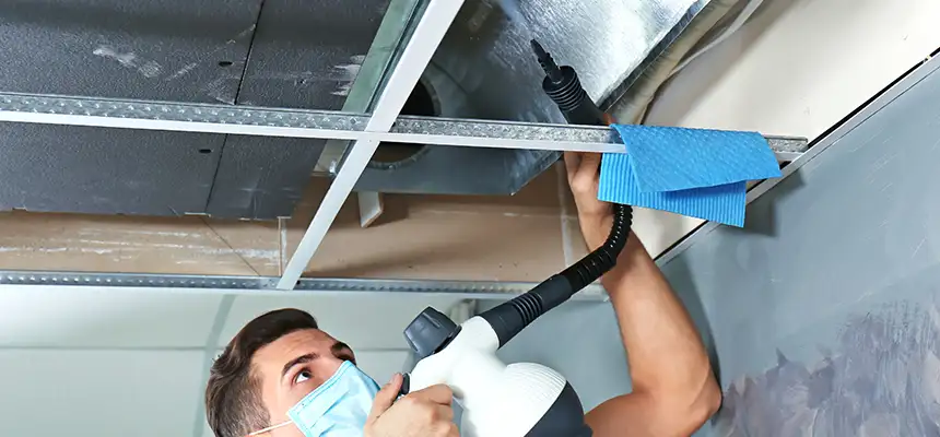 Our Air Duct Rodent Removal Services in Southlake, TX