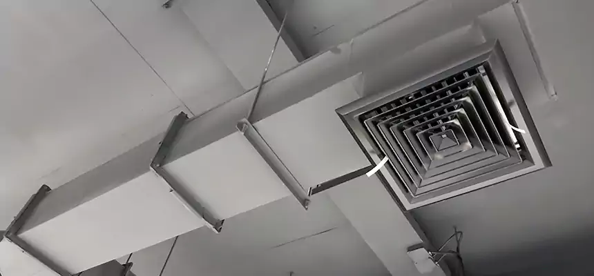 Our Rodent Droppings In Vents Services in Southlake, TX