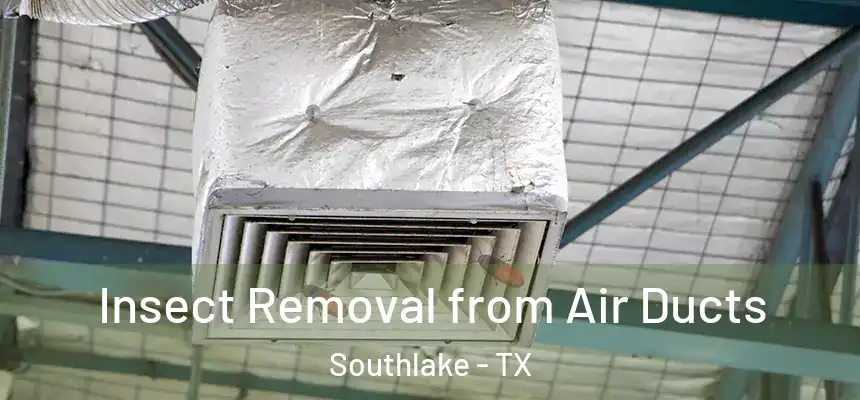  Insect Removal from Air Ducts Southlake - TX