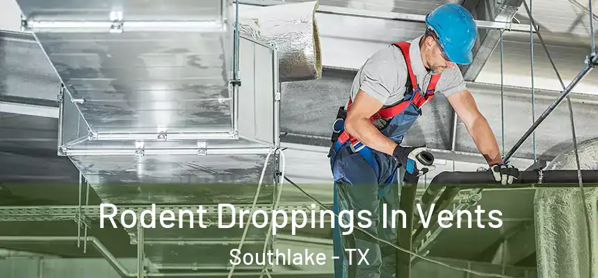  Rodent Droppings In Vents Southlake - TX