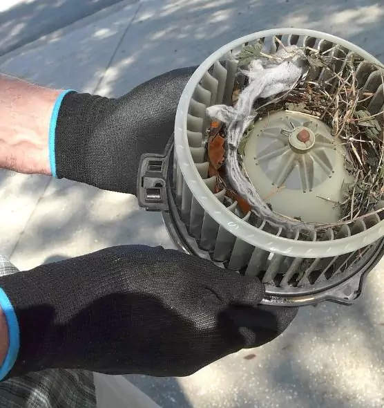 About Air Duct Mice Removal in Southlake, TX