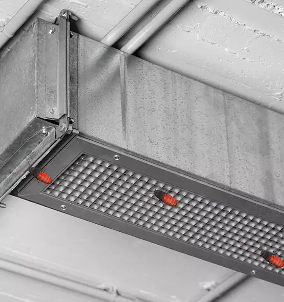 Affordable Insect Removal from Air Ducts in Southlake, TX