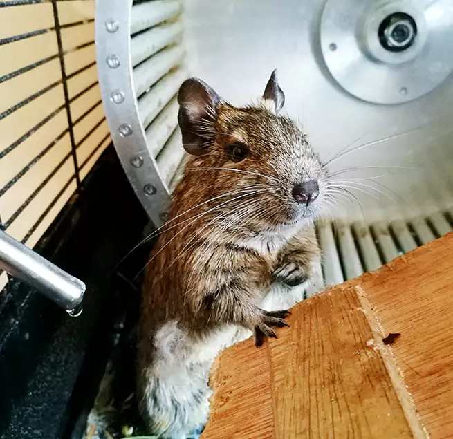 Why Homeowners & Businesses Trust Us Southlake, TX?