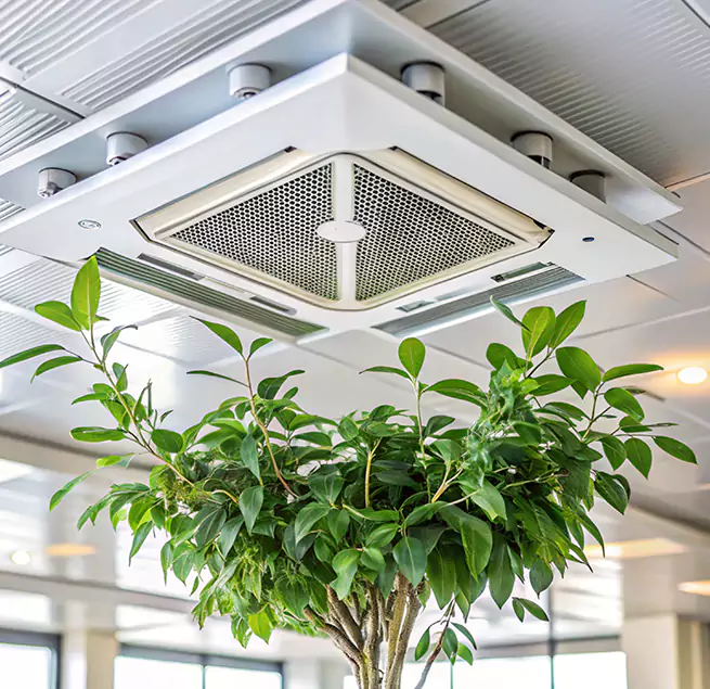 Why Homeowners & Businesses Trust Us in Southlake, TX